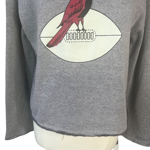 NFL Arizona Cardinals Logo Hoodie Sweatshirt Womens Gray Large New - Picture 4 of 11